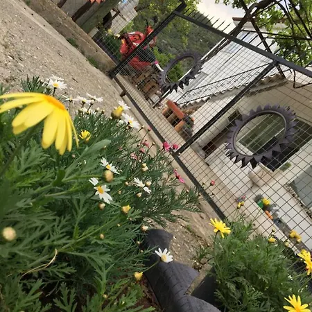 Doganin Kalbinden Muhtesem Bir Tatil Imkani Apartment *